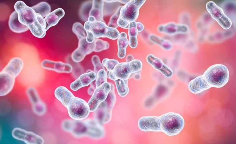 Antibiotics and your gut