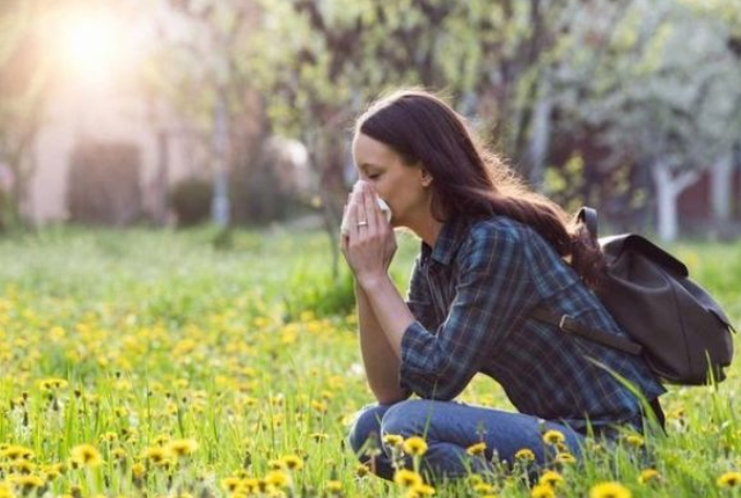 Hay fever and your gut