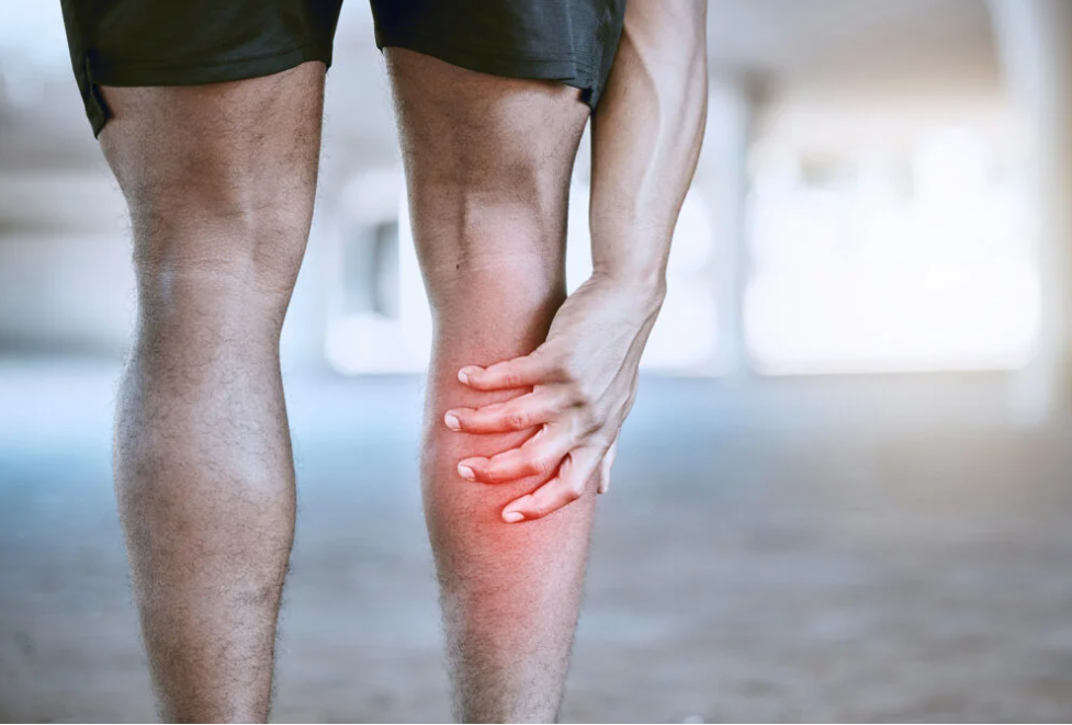 Torn muscle? Send in the gut microbes for rapid repair