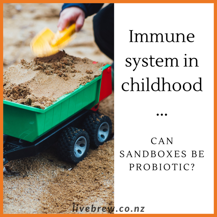 Immune system in childhood...Can sandboxes be probiotic?