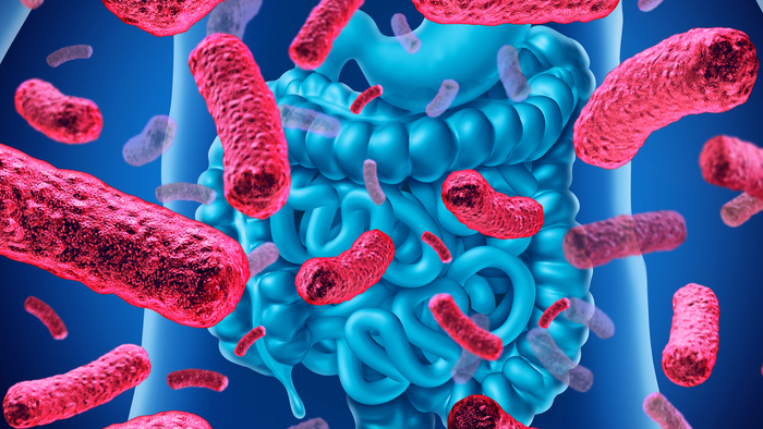 Myth #9 Probiotic microbes colonise the gut