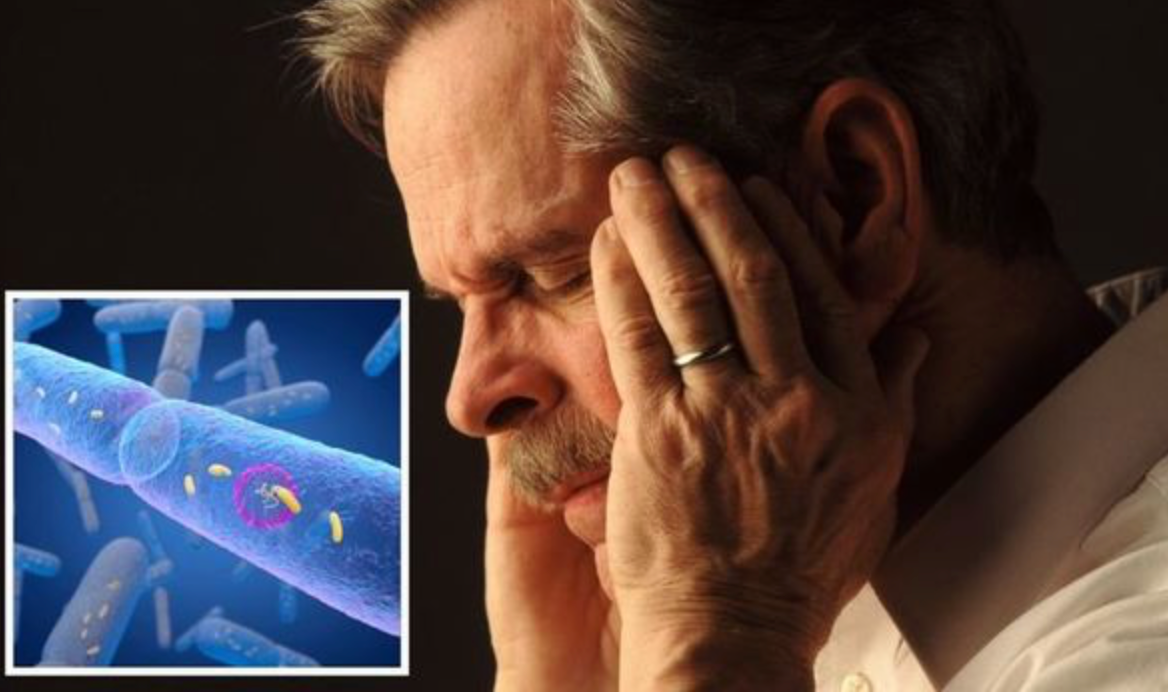 Link Between Alzheimer’s and Gut Is Confirmed