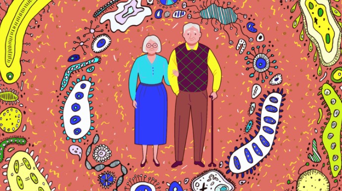 Gut Microbiome Implicated in Healthy Aging and Longevity