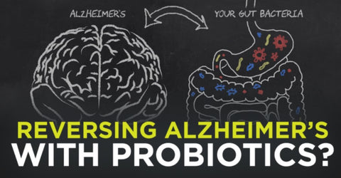 Reversing Alzheimer’s with Probiotics?