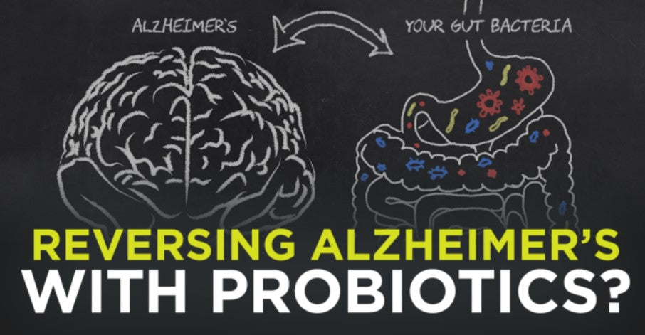 Reversing Alzheimer’s with Probiotics?