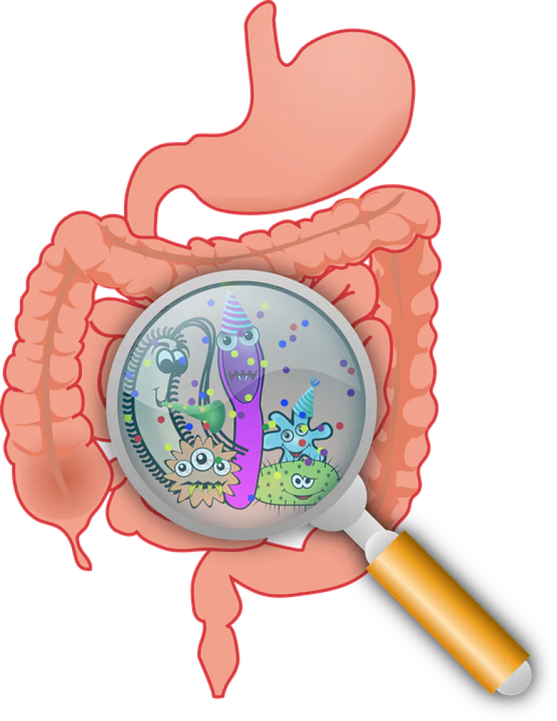 10 Signs of an unhealthy gut